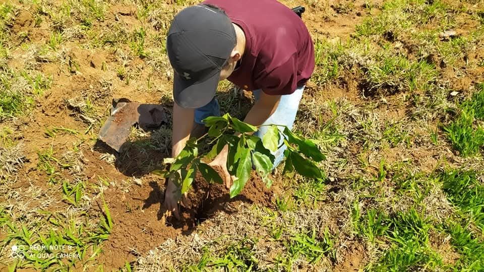 Green Innovation Support