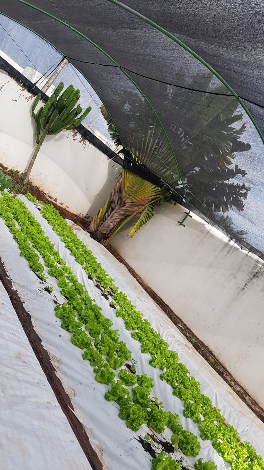 Sustainable Development Research