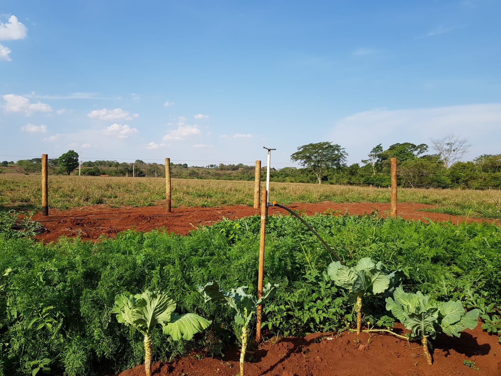 Circular Economy Consultancy