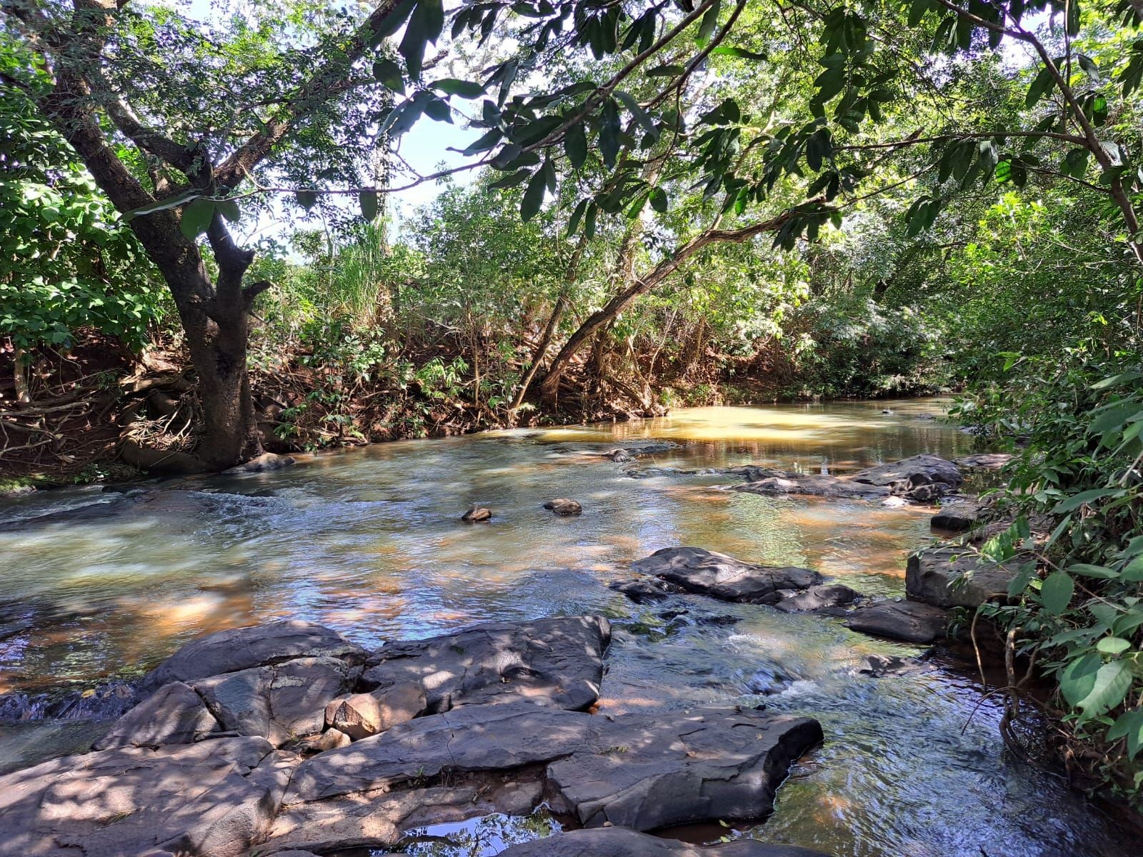 What we are trying to protect