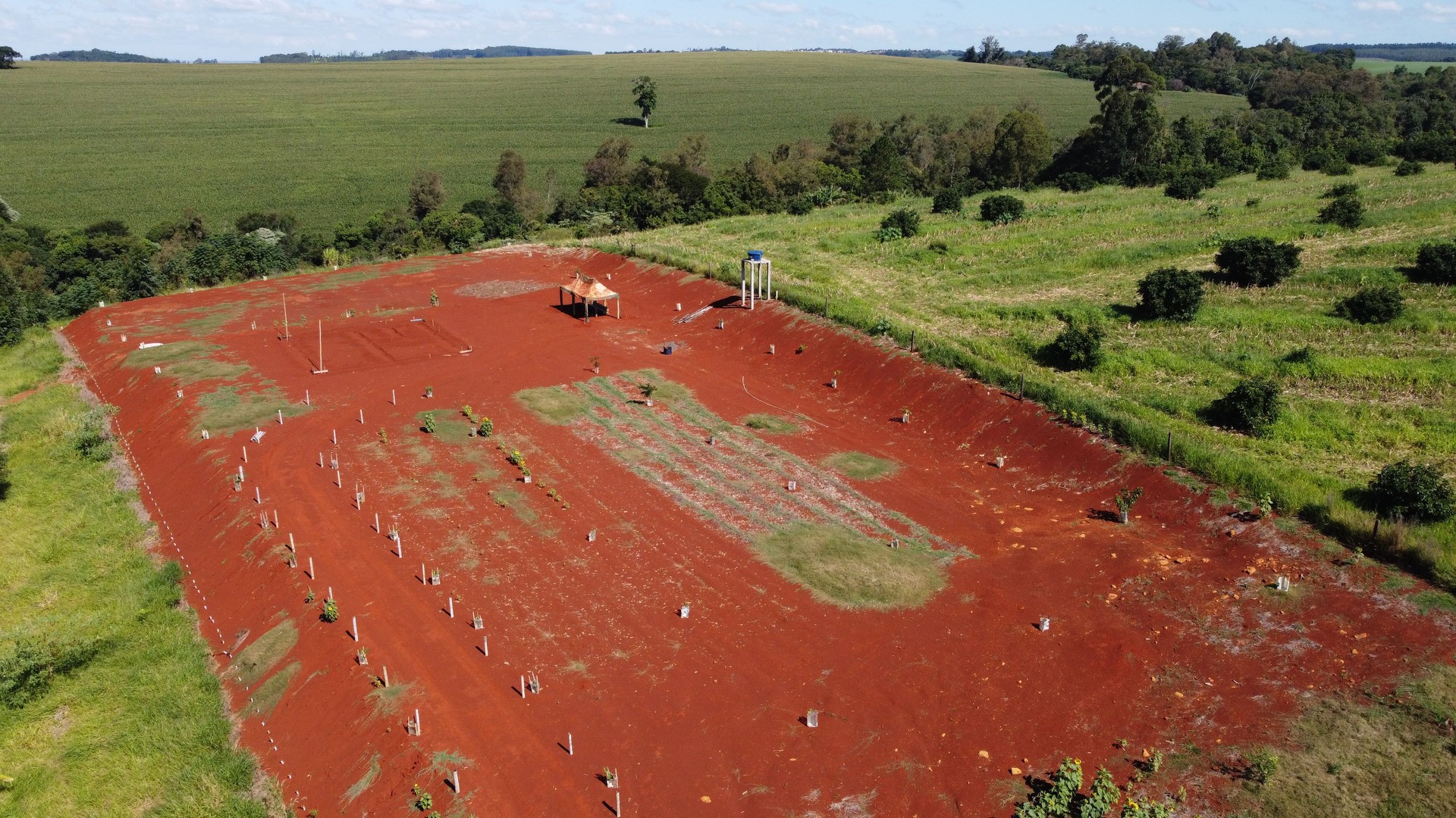 Aerial view of red soil field with young saplings and research tent — concept of reforestation, sustainable agriculture and environmental restoration
